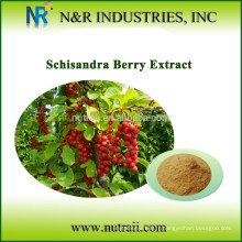Schisandra chinensis extrait Schizandrins 2-20% HPLC